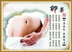 卵巢保养生宣传活动模板源文件设