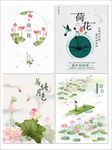 荷花海报
