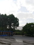 夏季公园