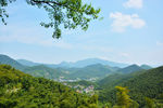 山顶