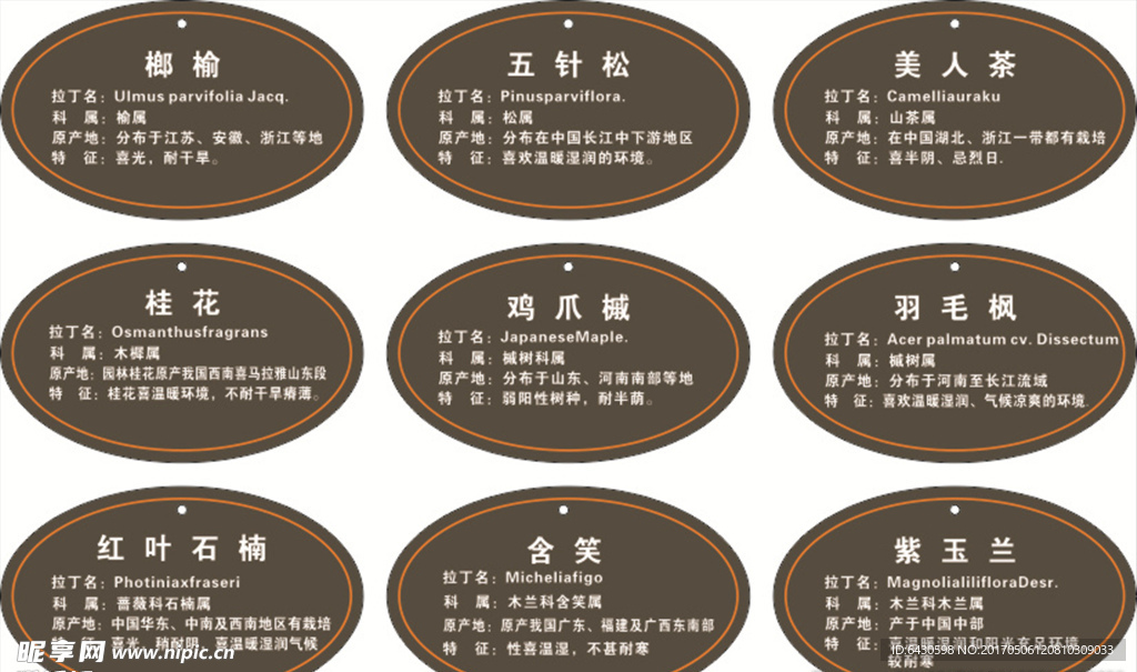 树牌
