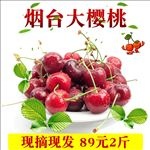 191主图樱桃设计描述