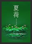夏天荷花