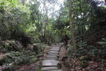 山间小路