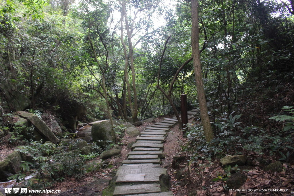山间小路
