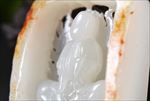 籽料观音