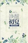 花纹海报