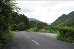 绿树掩映