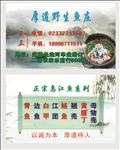 鱼名片