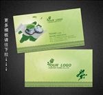 中国风古典茶叶名片