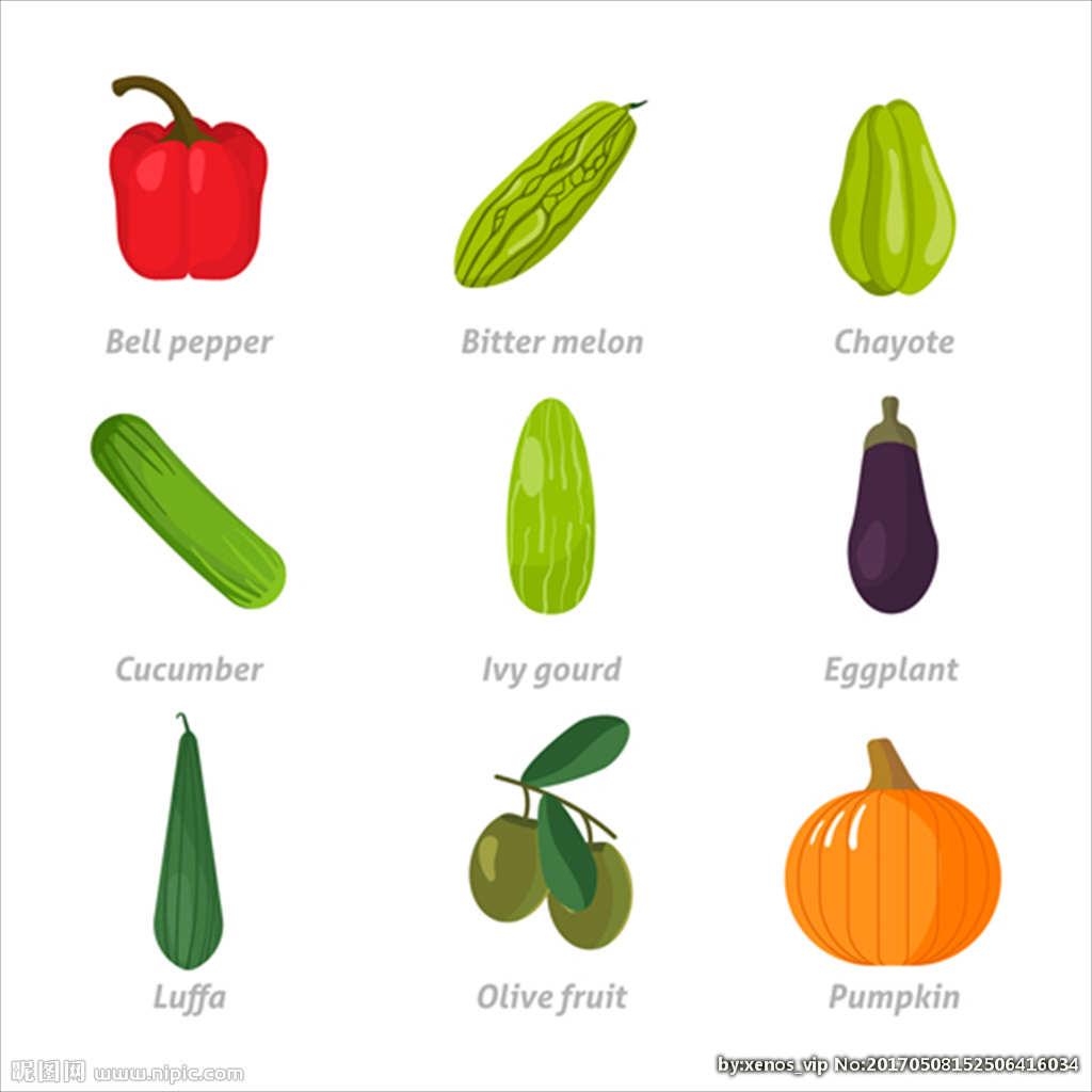 常见健康的蔬菜插图