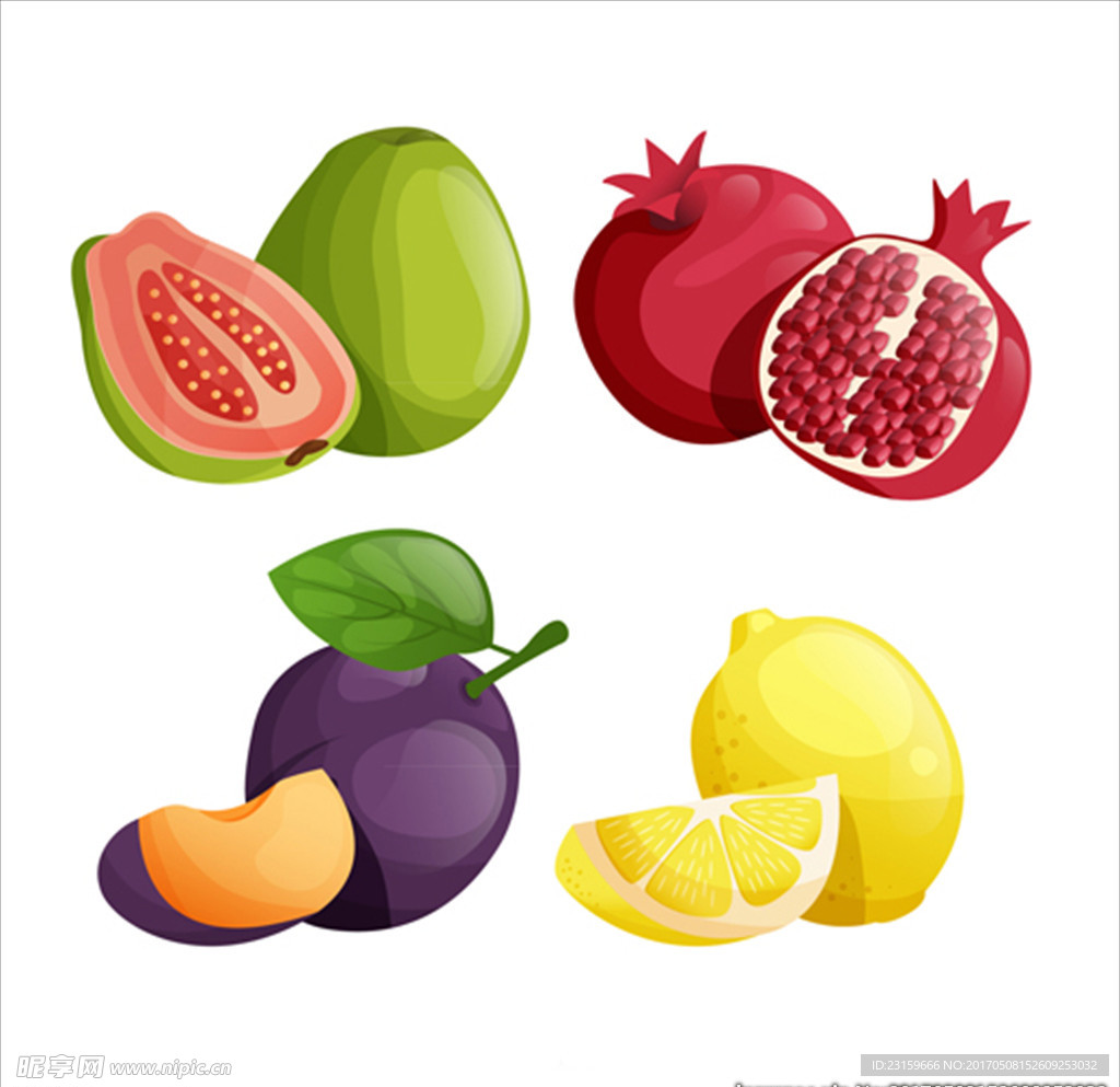 一组写实水果插图