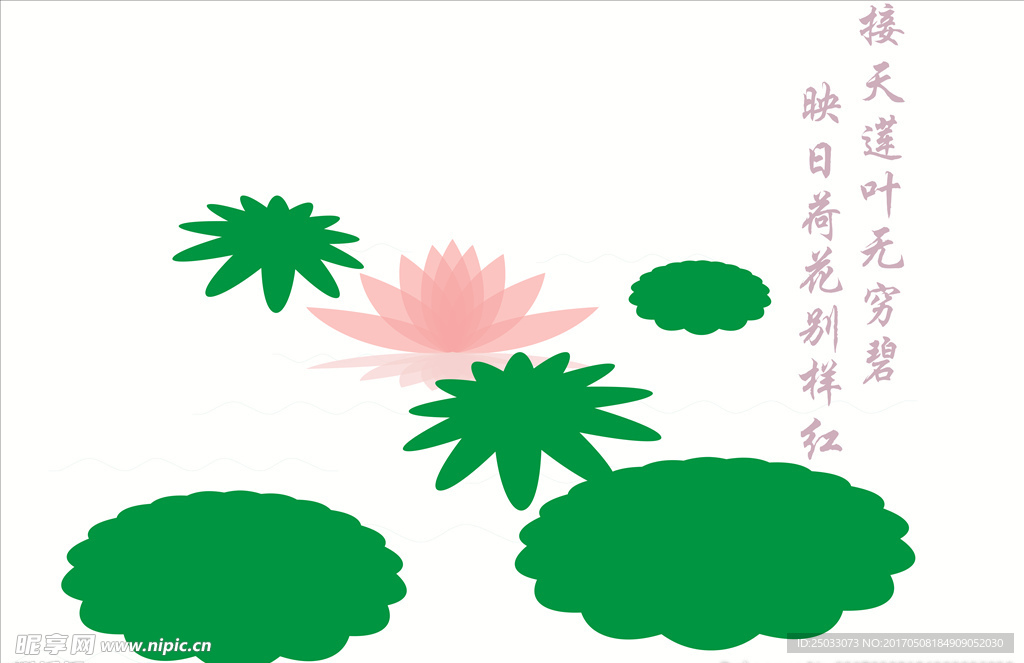 荷花
