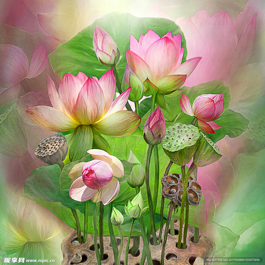 手绘花卉