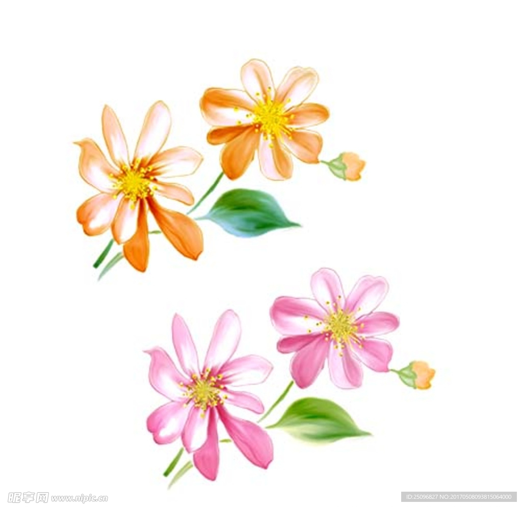 手绘花