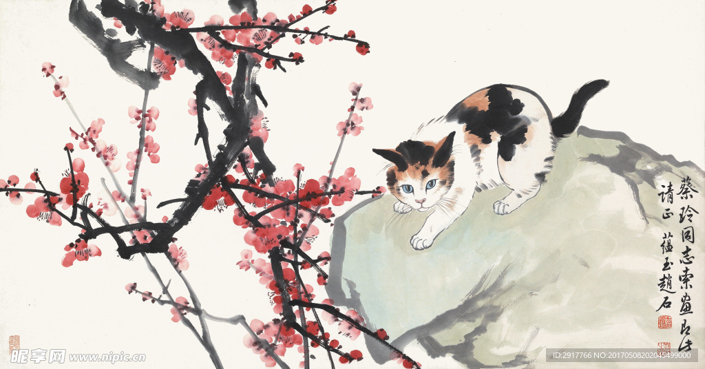 猫