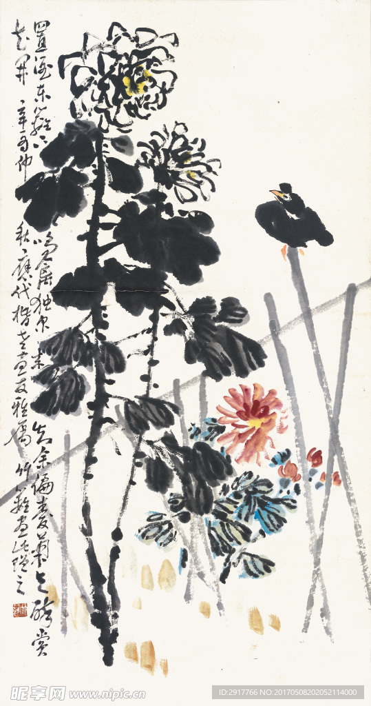 菊花