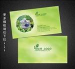 茶叶名片