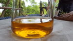 普洱茶