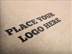logo样机