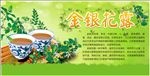 金银花露
