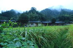 平庄乡村