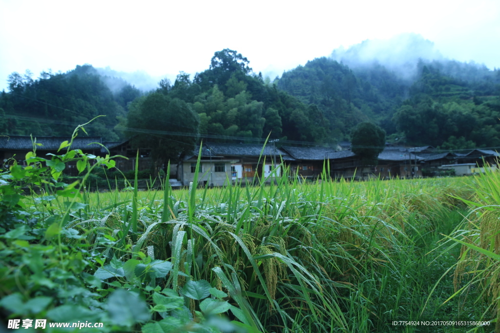 平庄乡村