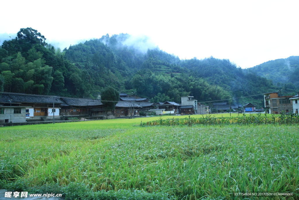 平庄乡愁