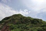 绿色山坡