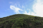 绿色山坡