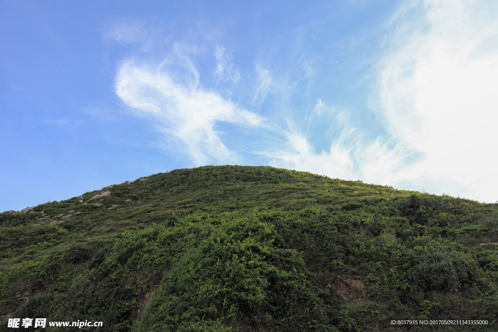 绿色山坡