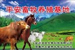 牛马养殖场招牌