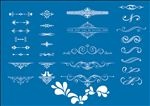 花纹