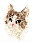 手绘猫头矢量图