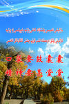 胡杨 蓝天 白云