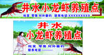 龙虾养殖