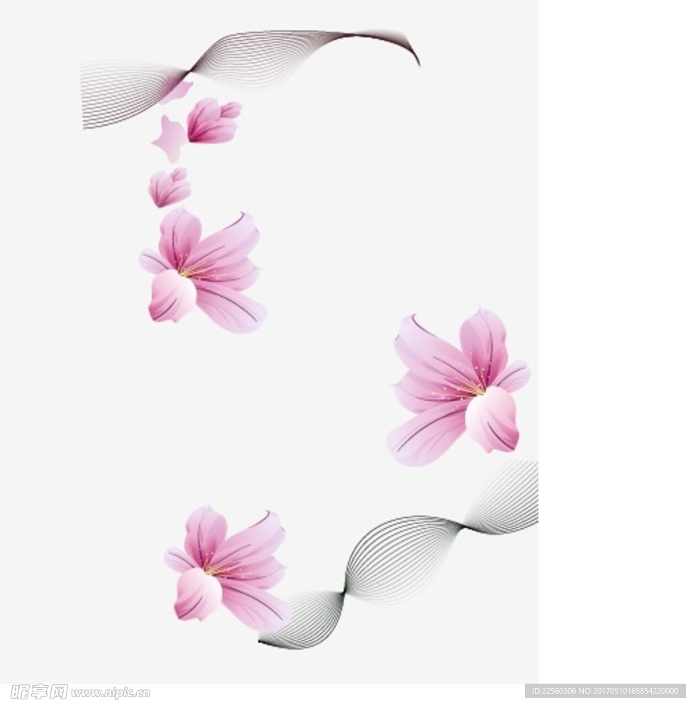 花瓣