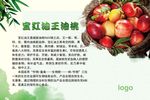 宝红油王油桃
