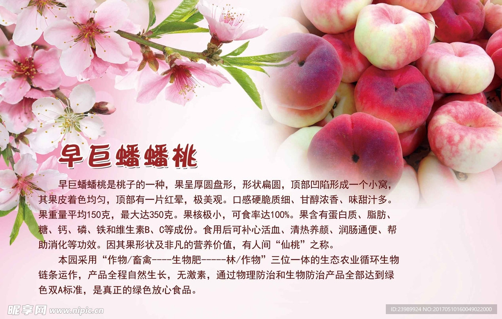 蟠桃