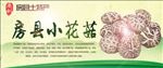 房县小花菇生态绿色土特产