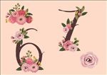 花朵数字