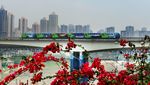 重庆城市轻轨