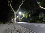 杭州三台山路夜景