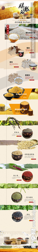 五谷杂粮淘宝主题图