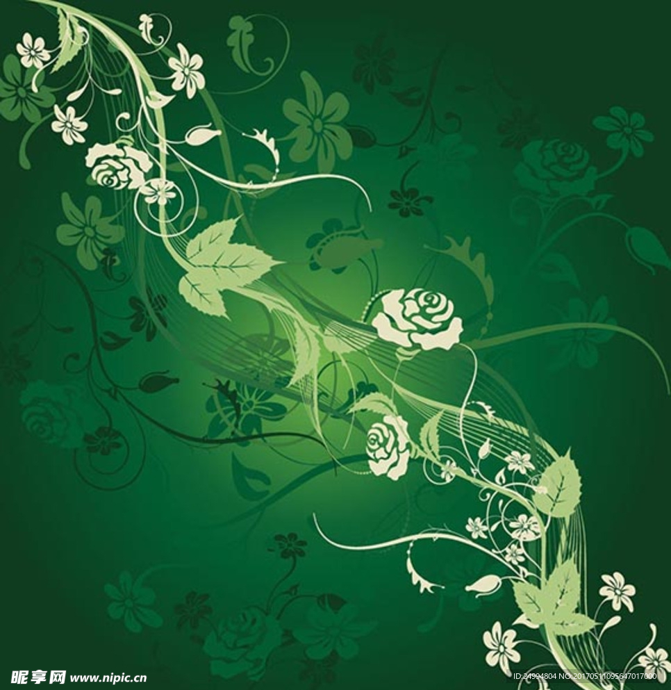 矢量藤蔓花纹