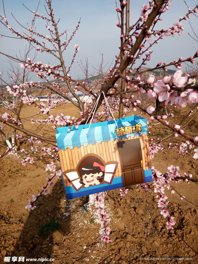 桃花