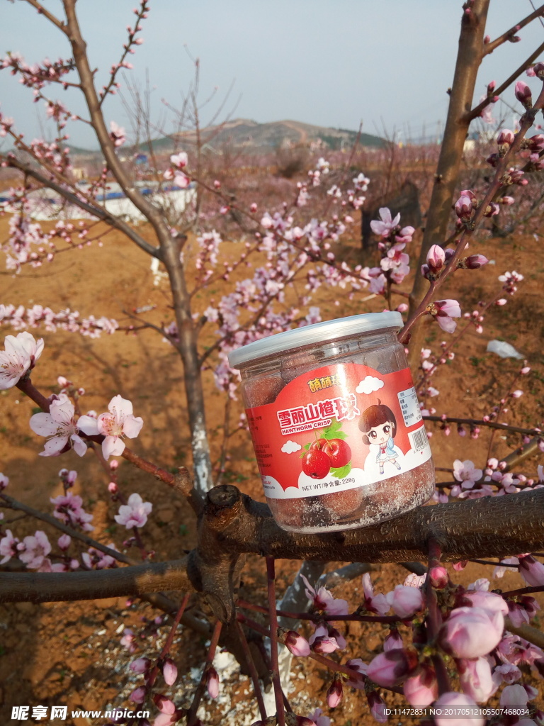 桃花