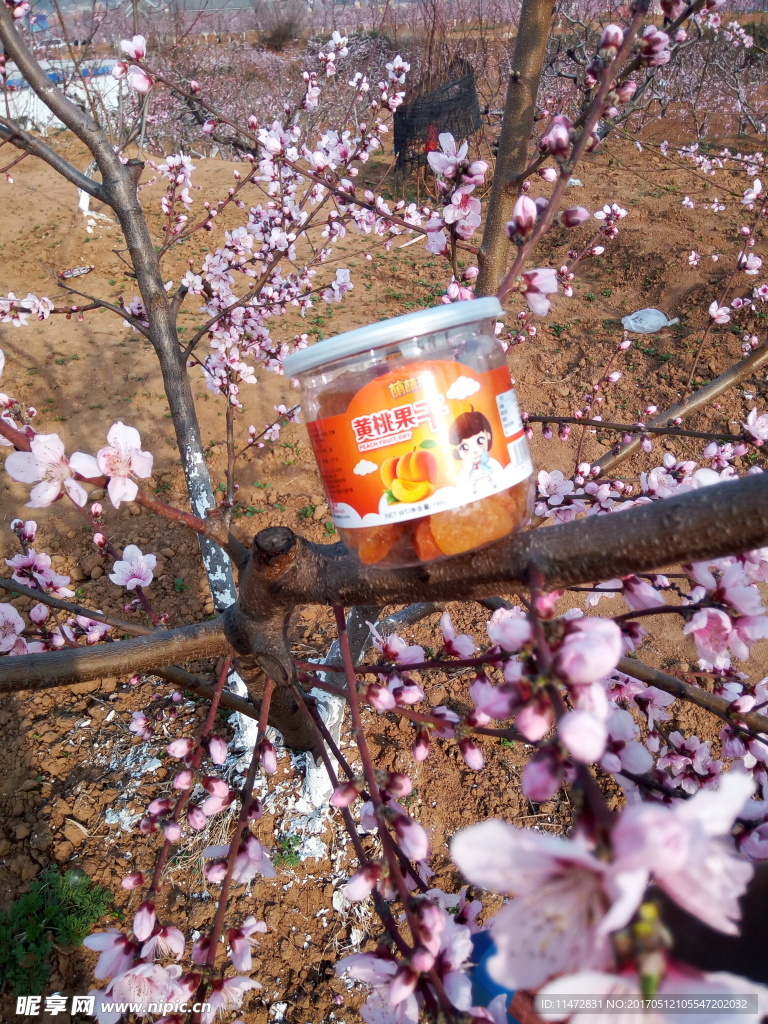 桃花