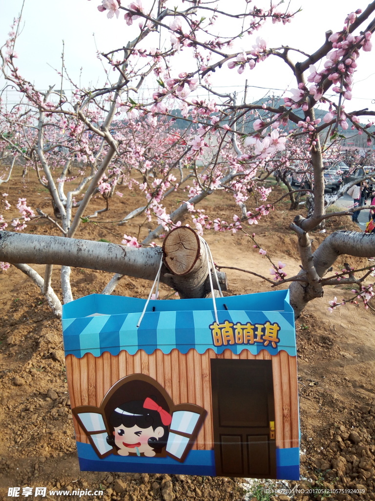 桃花