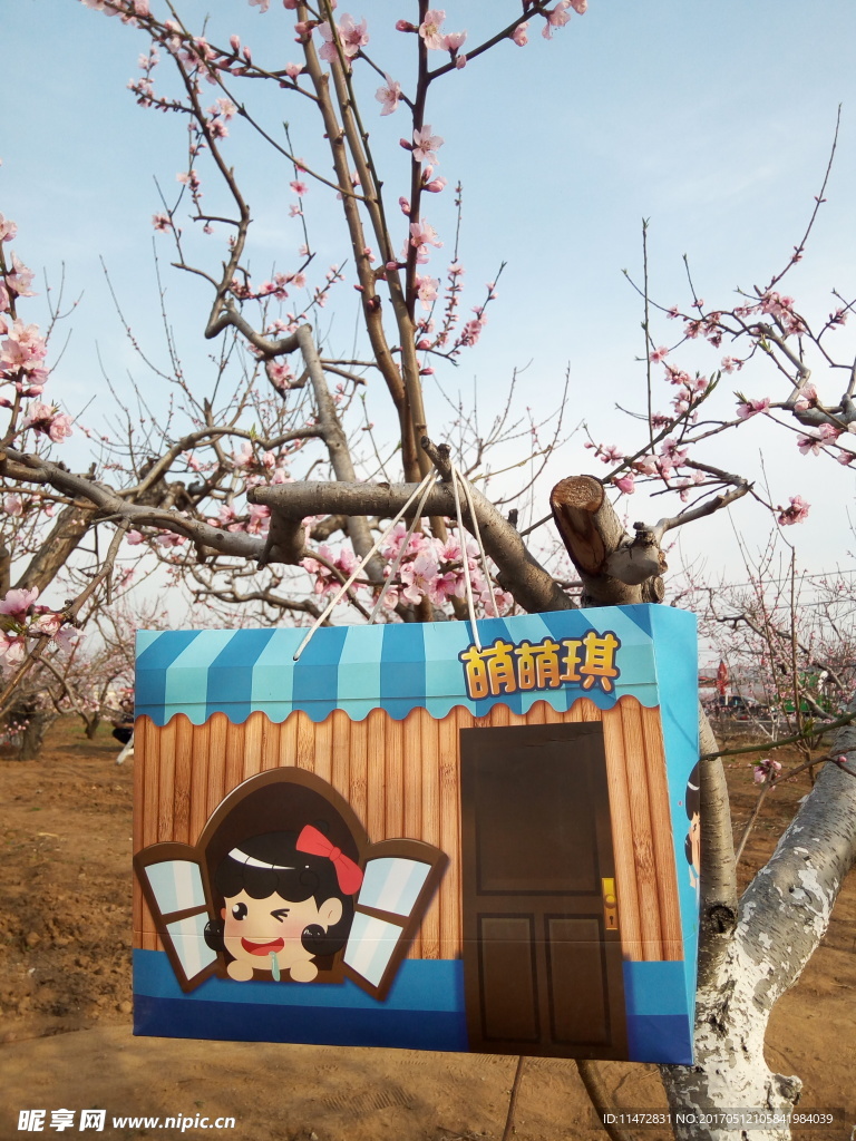 桃花